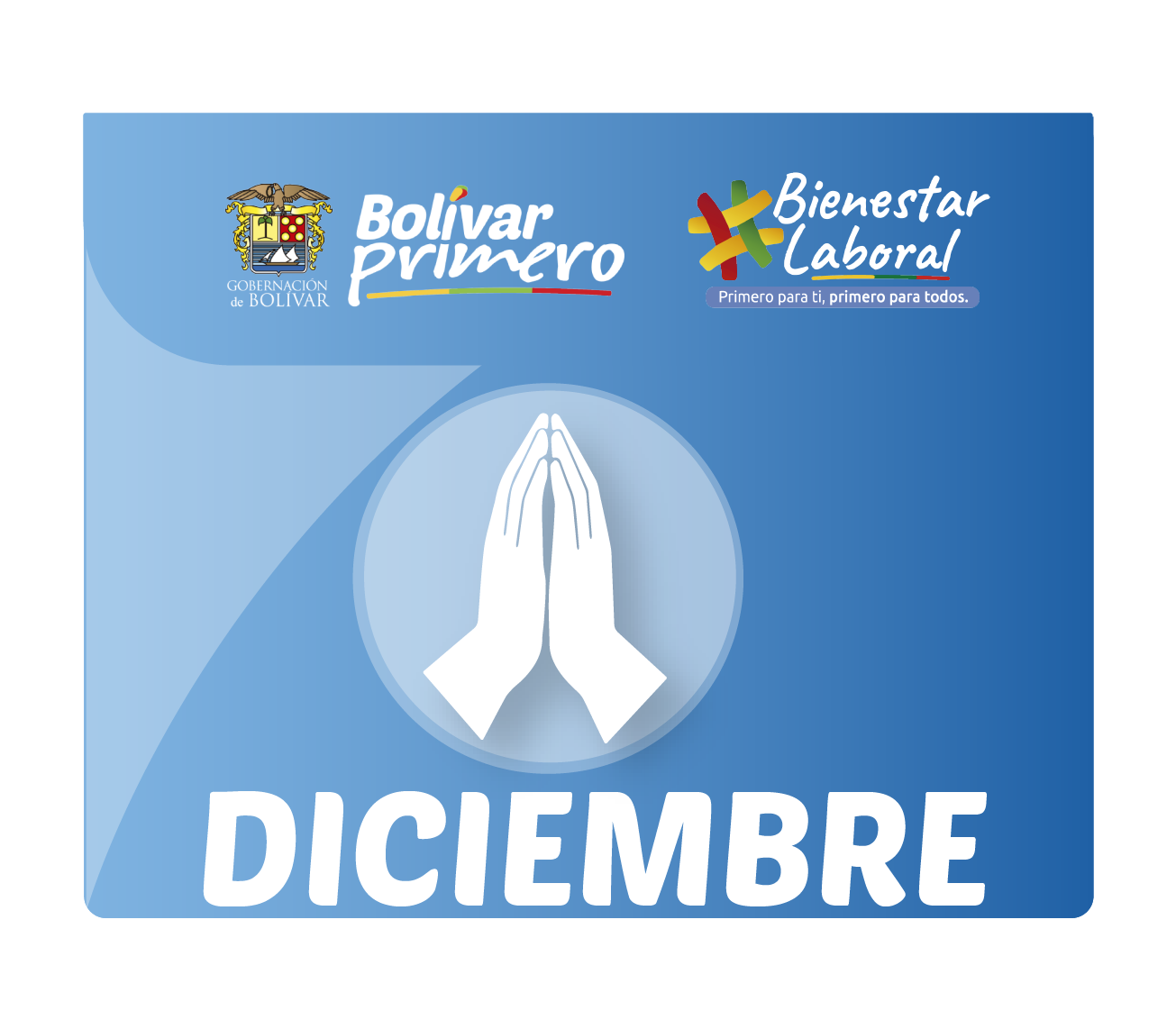 boton misa diciembre