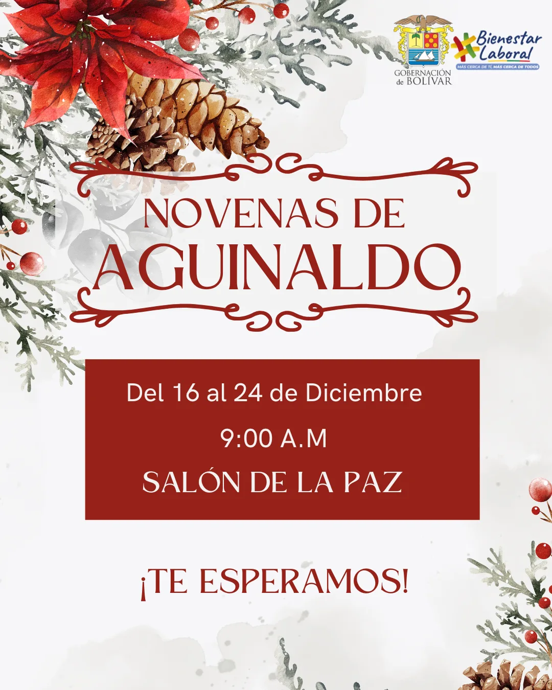NOVENAS DE AGUINALDO