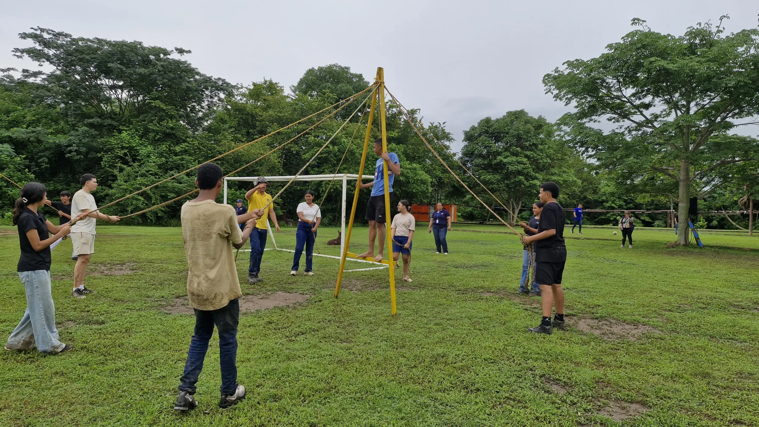 actividad junior 2 scaled