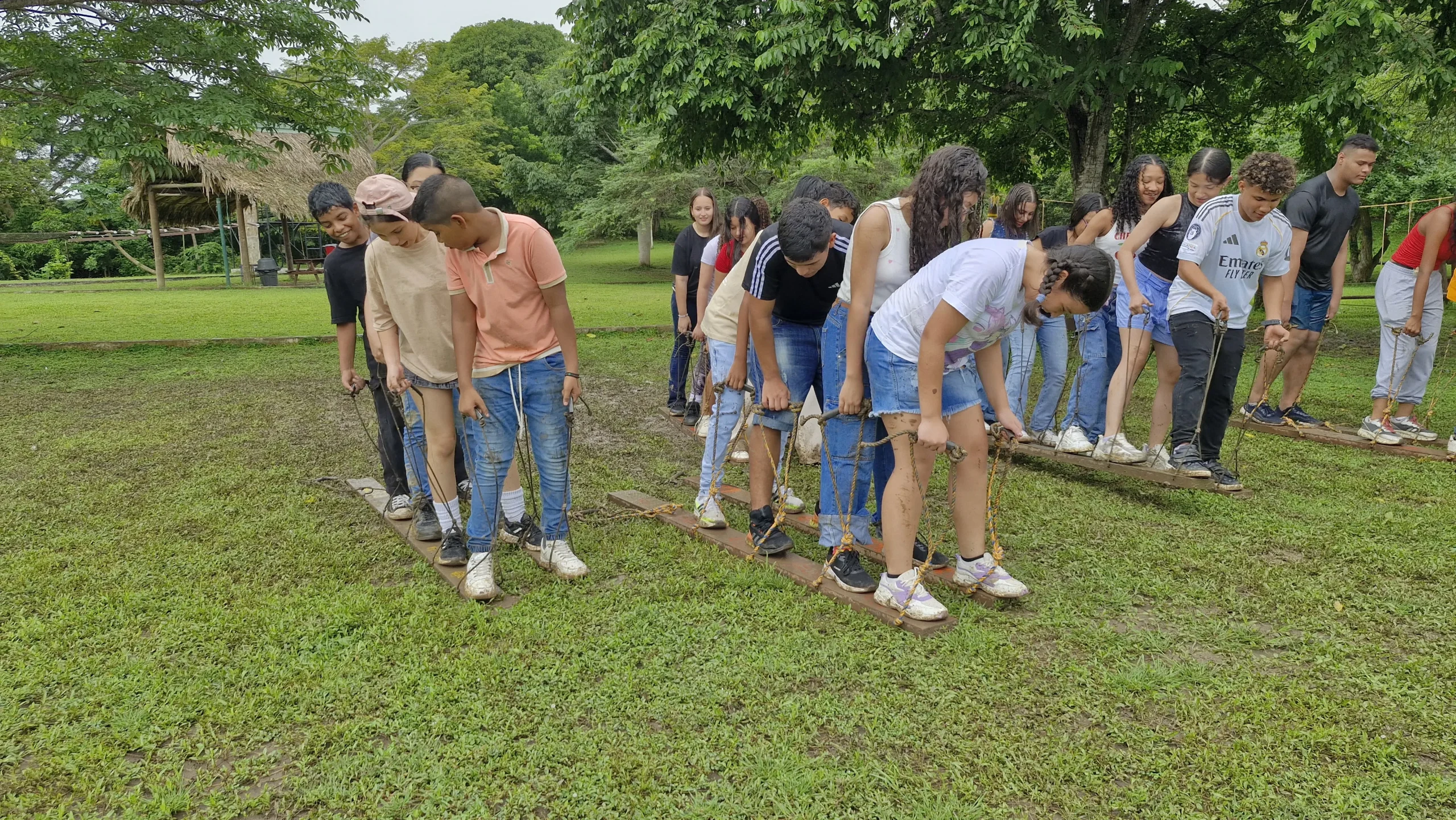 actividad junior 3 scaled