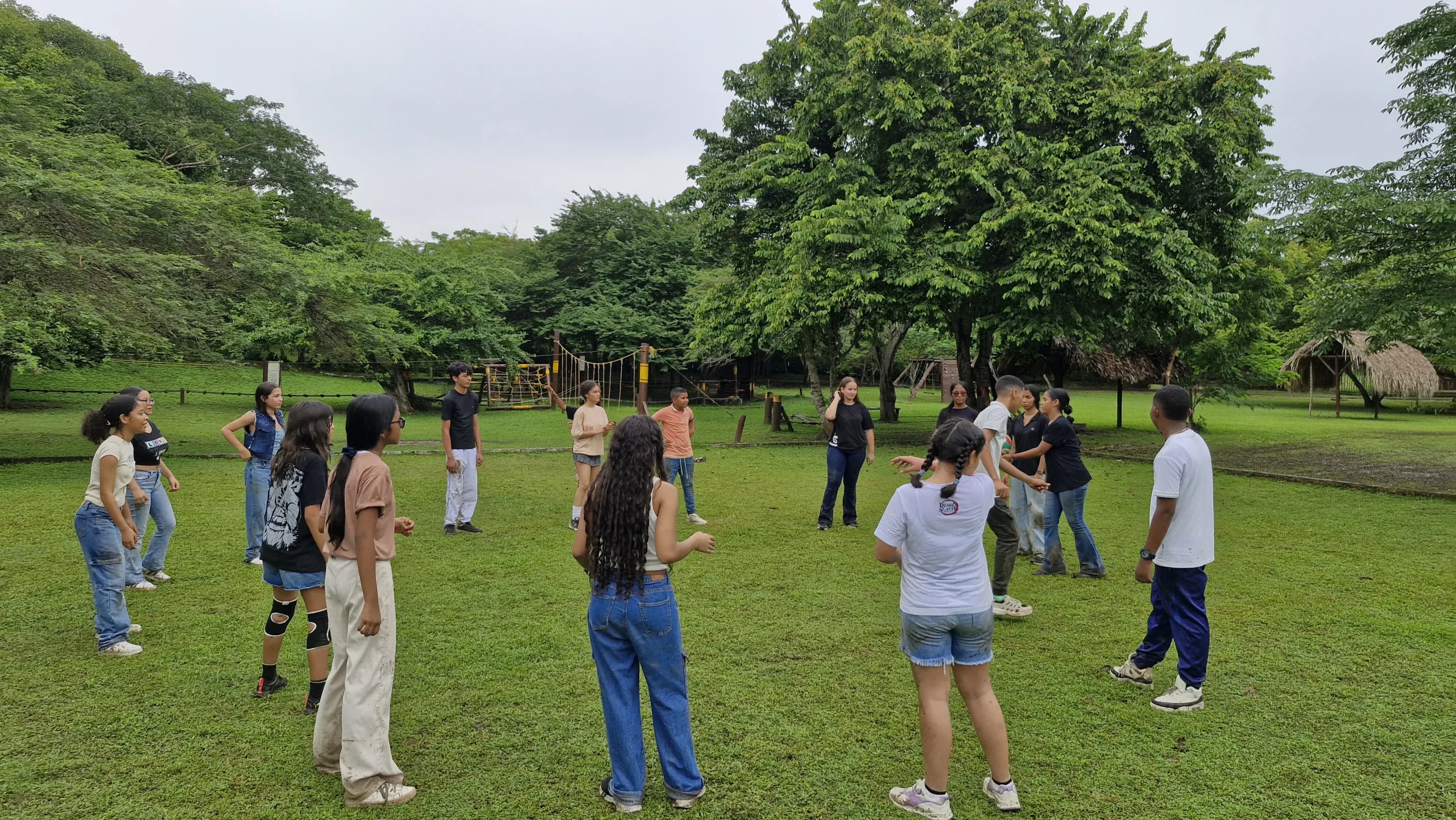 actividad junior 5 scaled