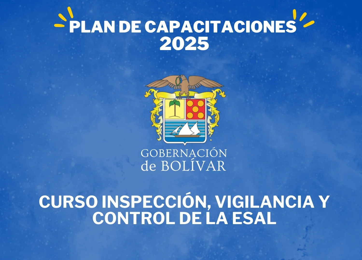 curso inspeccion vigilancia control