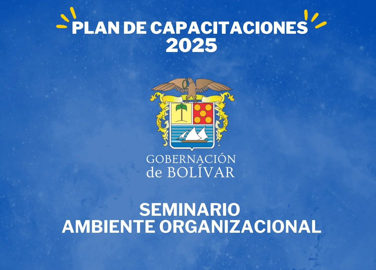 seminario ambiente organizacional
