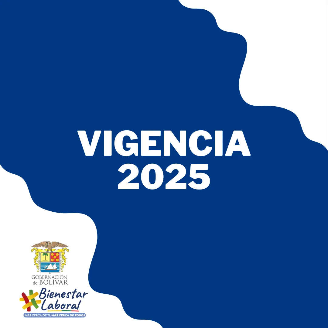 VALORES VIGENCIA 2025