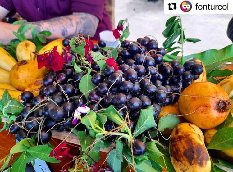 Bandeja con uvas costeñas, mamey y frutas tropicales decoradas con flores y hojas verdes en el Caribe colombiano.