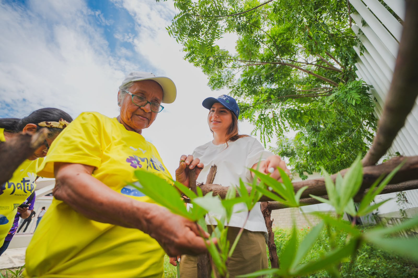 Mujer mayor con camiseta amarilla del proyecto MATIE revisa una planta junto a otra mujer.